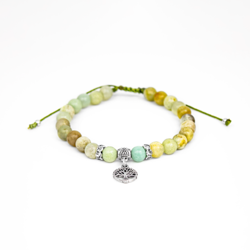 Árbol Jade
